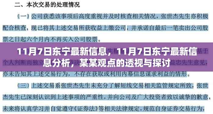 11月7日东宁最新信息解析,观点透视与探讨