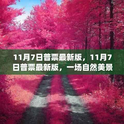 11月7日普票最新版，自然美景之旅，寻找内心的平和与宁静