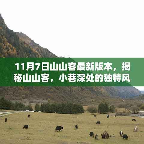 11月7日山山客新版揭秘,小巷深处的独特风味宝藏等你来探秘