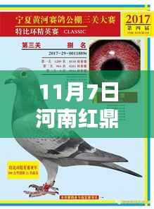 河南红鼎公棚最新高科技产品公告,未来科技魅力体验日