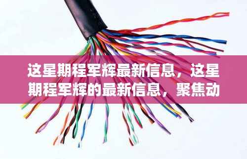 程军辉最新动态聚焦,本周发展概览