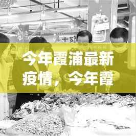 今年霞浦最新疫情下的观察与思考,综合分析报告