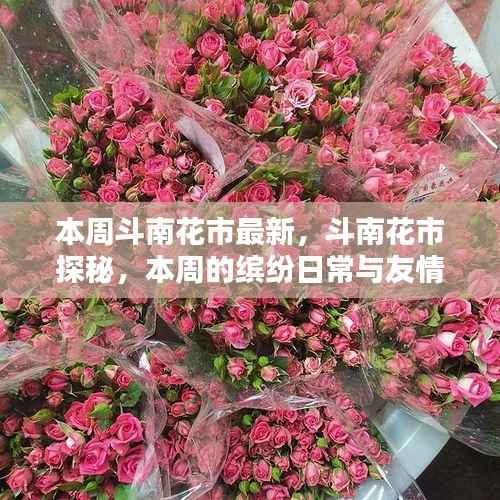 本周斗南花市探秘,缤纷日常与友情之花盛开