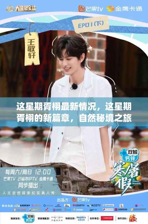 胥栩最新动态,自然秘境之旅,探寻心灵宁静与乐趣的新篇章