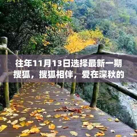 搜狐相伴,爱在深秋的日常小事记录