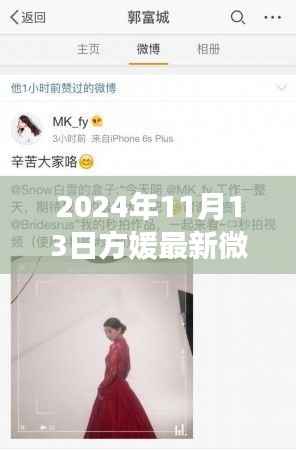 方媛最新微博动态,星光闪耀与影响力回顾,2024年11月13日记录时刻