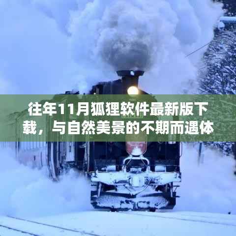 往年11月狐狸软件最新版下载,与自然美景的不期而遇体验