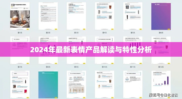 2024年最新表情产品解读与特性分析
