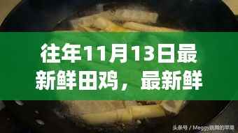 秋日厨房冒险,寻找最鲜田鸡与友情的传奇故事
