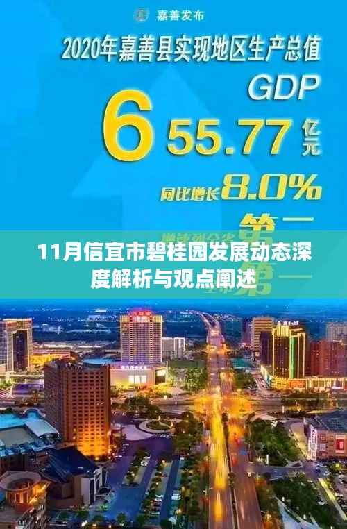 11月信宜市碧桂园发展动态深度解析与观点阐述