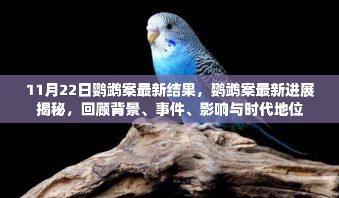 11月22日鹦鹉案最新结果,鹦鹉案最新进展揭秘,回顾背景、事件、影响与时代地位