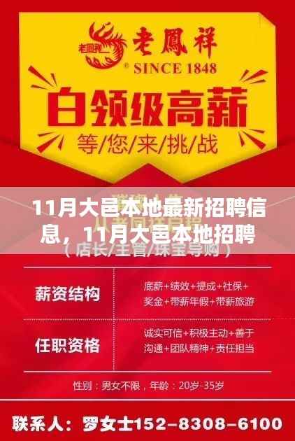 11月大邑本地招聘热潮,新机遇引领未来