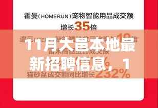 11月大邑本地招聘热潮,新机遇引领未来