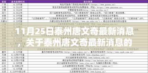 11月25日泰州唐文奇最新消息,关于泰州唐文奇最新消息的深度解析(要点详解)