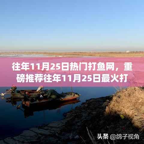 往年11月25日热门与最火打鱼网，犯罪行为的警示与回顾