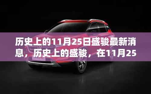 历史上的盛骏,最新消息回顾与影响探究(11月25日版)