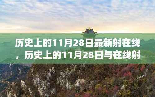 历史上的11月28日最新射在线,历史上的11月28日与在线射艺的发展,一种观点的阐述