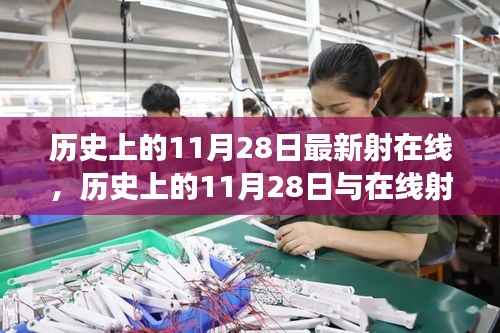 历史上的11月28日最新射在线,历史上的11月28日与在线射艺的发展,一种观点的阐述