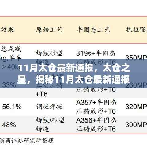 揭秘,太仓之星产品特性与体验——最新通报解析