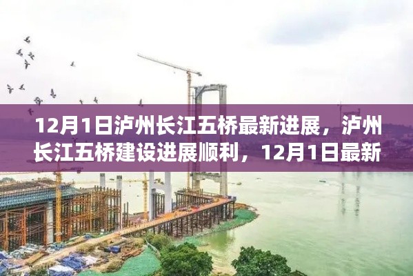 泸州长江五桥建设进展顺利,最新动态揭秘(12月1日更新)
