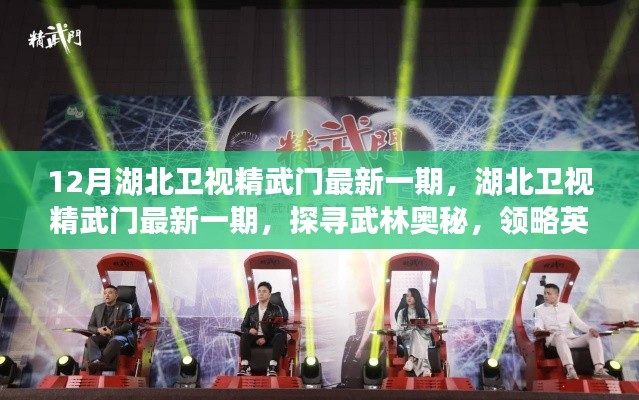 湖北卫视精武门最新一期,探寻武林奥秘,展现英雄风采