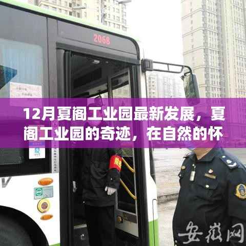 夏阁工业园,奇迹展现与自然的和谐融合——探寻内心的宁静与力量