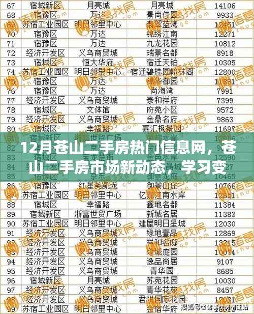 苍山二手房市场新动态,热门信息一网打尽,开启新生活篇章