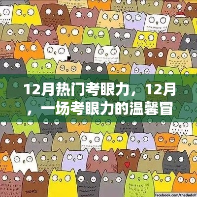 12月考眼力冒险之旅,温馨挑战视觉极限