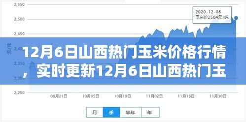 12月6日山西玉米价格行情深度解析及实时更新