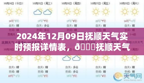 独家揭秘,2024年12月9日抚顺天气预报实时详情表