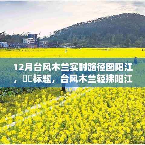 台风木兰轻拂阳江,追寻自然魅力的奇妙旅程