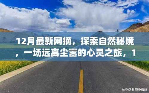 探索自然秘境的心灵之旅,最新网摘带你启程
