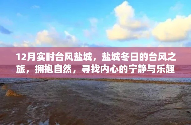 盐城冬台风之旅,拥抱自然,探寻内心宁静与乐趣的台风之旅