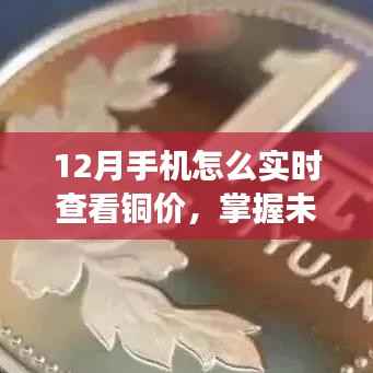 12月实时铜价监控，掌握未来，拥抱变化！