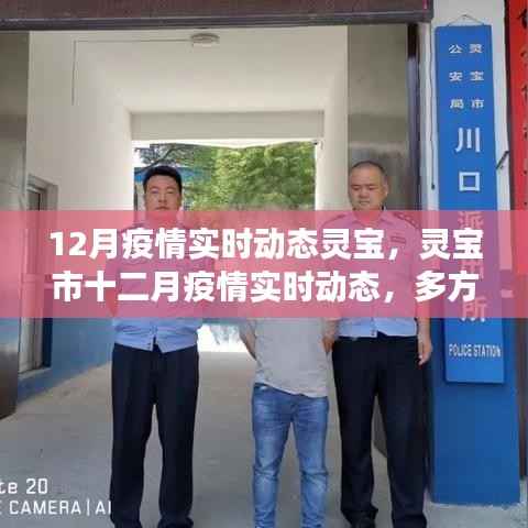 多方视角下的观察与思考,灵宝市十二月疫情实时动态分析