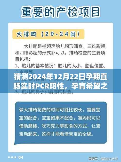 孕期直肠实时PCR阳性,探索变化的力量与孕育希望之光之旅