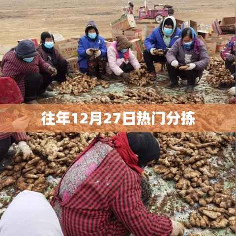 往年12月27日热门事件回顾与分拣