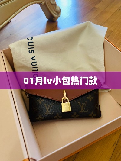 01月LV小包热门款式盘点