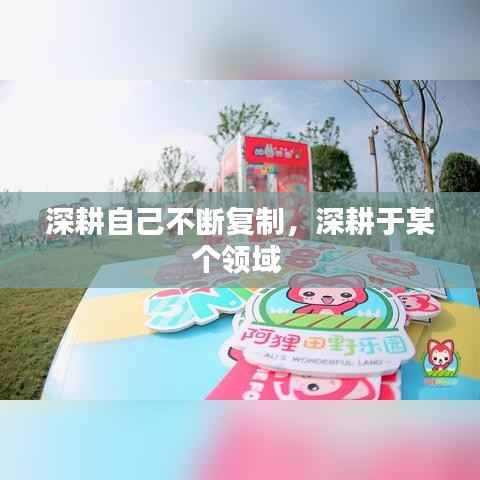 深耕自己不断复制,深耕于某个领域