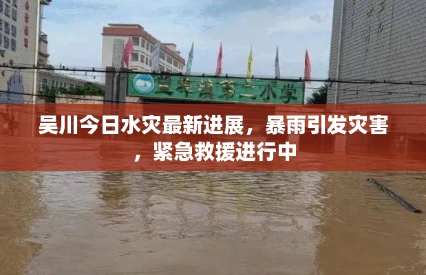 吴川今日水灾最新进展,暴雨引发灾害,紧急救援进行中