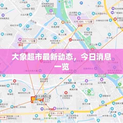 大象超市最新动态,今日消息一览
