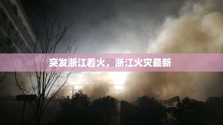 突发浙江着火,浙江火灾最新