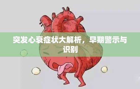 突发心衰症状大解析,早期警示与识别