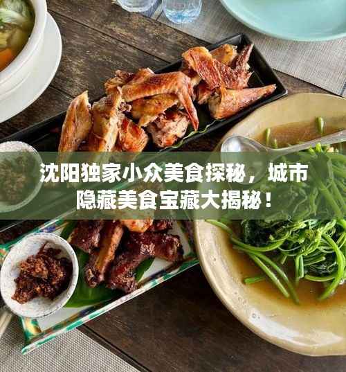 沈阳独家小众美食探秘,城市隐藏美食宝藏大揭秘!