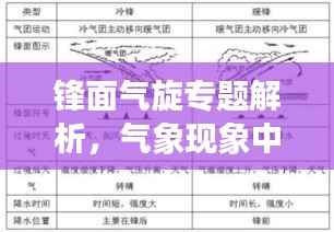 锋面气旋专题解析,气象现象中的佼佼者探究