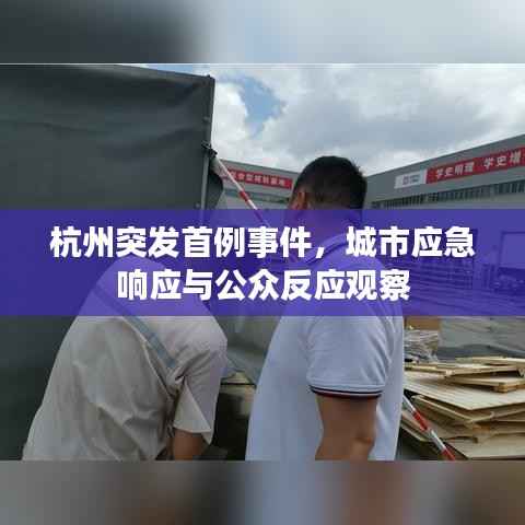 杭州突发首例事件,城市应急响应与公众反应观察