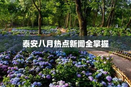 泰安八月热点新闻全掌握