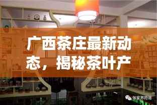 广西茶庄最新动态,揭秘茶叶产业繁荣背后的故事