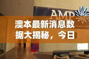 澳本最新消息数据大揭秘,今日动态综述