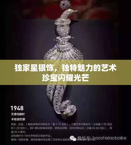 独家星银饰,独特魅力的艺术珍宝闪耀光芒